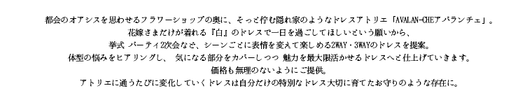 アバランチェとは
