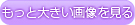 もっと大きい画像を見る