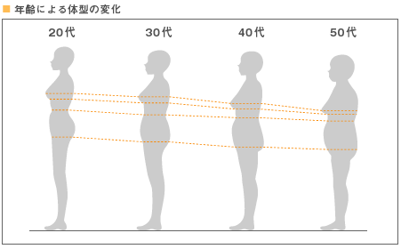 年齢による体型の変化