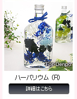 ハーバリウム（R） 