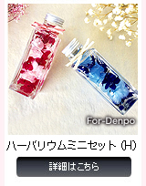 ハーバリウムミニセット（H）