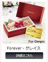 Forever・Forever・ルチア