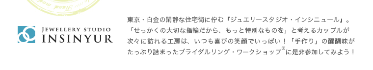 インシニュールとは