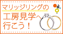 ミツバチをもっと知ろう！