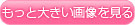 もっと大きい画像を見る